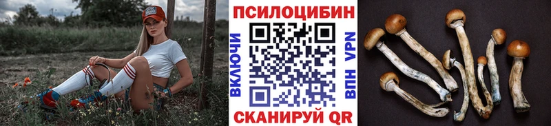 Псилоцибиновые грибы Psilocybe  Набережные Челны 